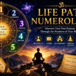 Life Path Numerology: Meaning, Calculator, Personality, Career & Spiritual Purpose